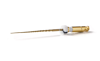 Picture of Absolute Glide Evo / L21